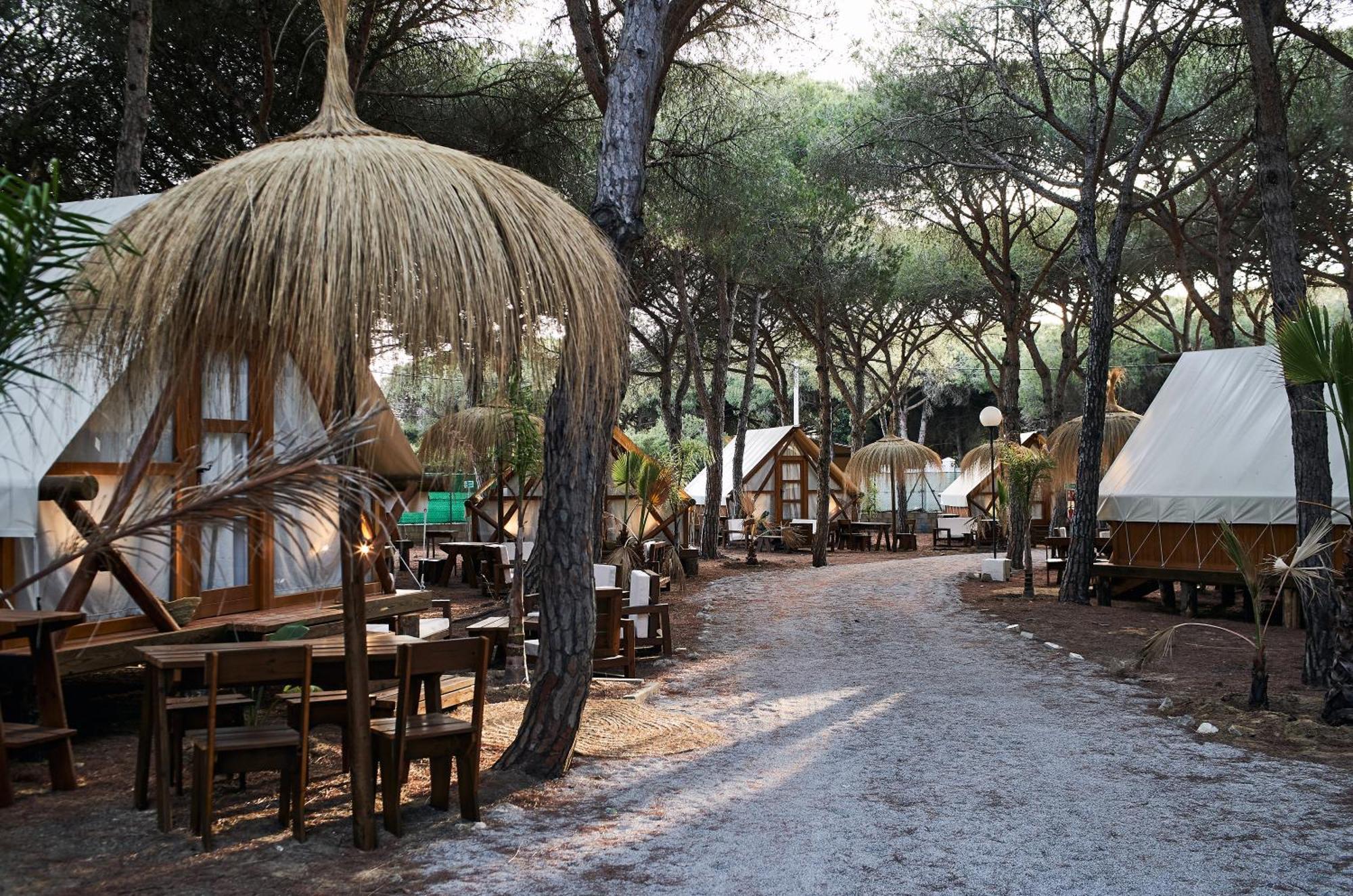 Taiga Conil Hotel Conil de la Frontera Kültér fotó
