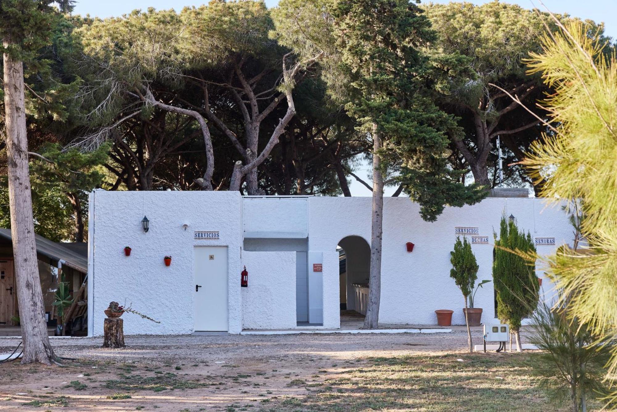 Taiga Conil Hotel Conil de la Frontera Szoba fotó